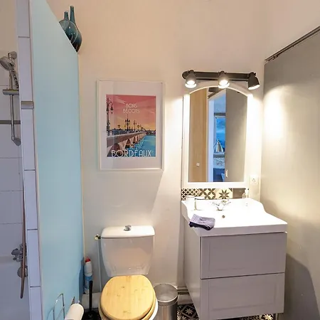 Апартаменты De Charme Sous Les Toits Avec Vue Sur La Garonne *